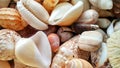 Sea Ã¢â¬â¹Ã¢â¬â¹animal shells like as mallusca and other